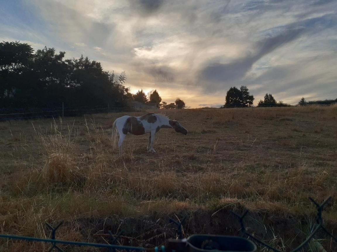 Maison Blanche Piscine Et Petit Dejeuner Châtellerault Buitenkant foto
